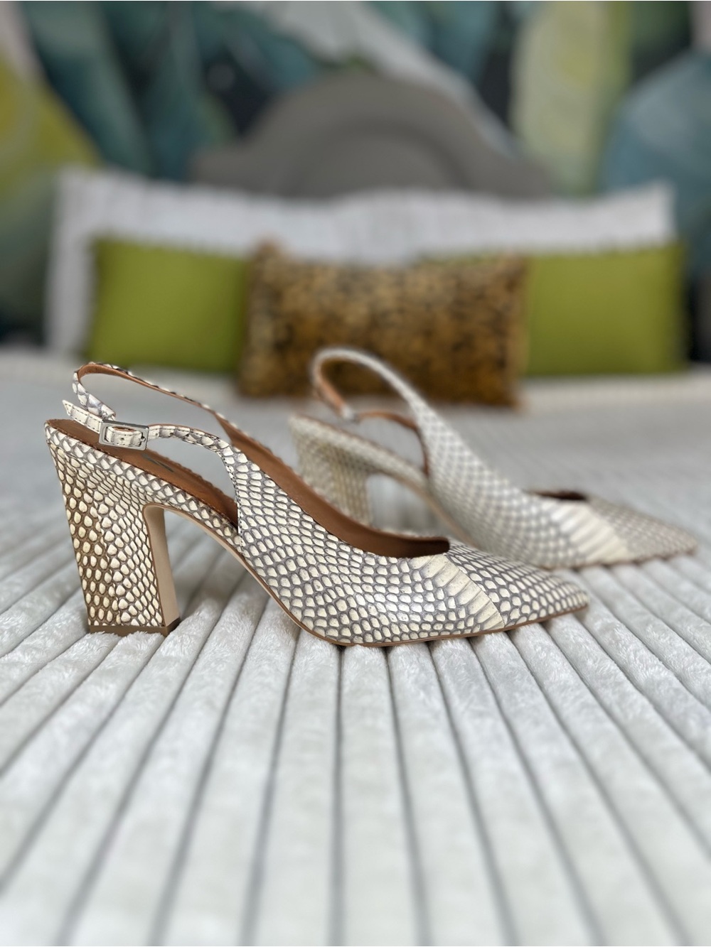Franco Sarto Carrano Cream Snake-Print Slingback Pump Size 9 NWOB